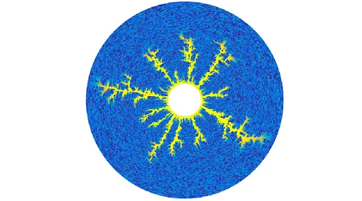 Simulation